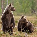 ���� Aleksej, ������, 26 ��� - ��������� 20 ������� 2025 � ������ ���� ����������