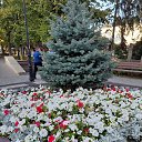 ���� ����, ������-��-���� - ��������� 14 ������� 2025