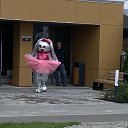 ���� ����, ������, 52 ���� - ��������� 3 �������� 2025 � ������ ���� ����������
