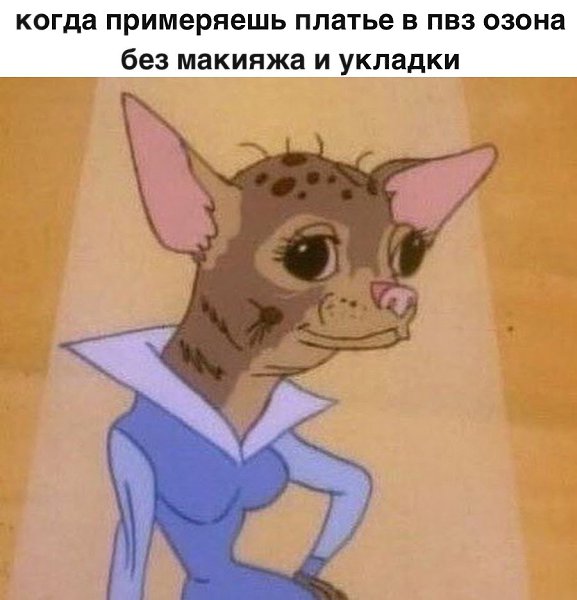 ����, ��� ����.