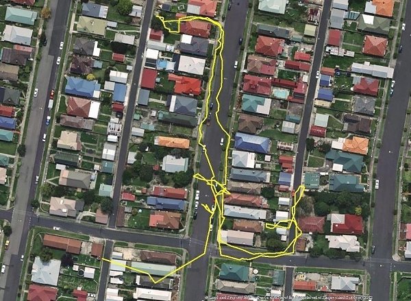 Чeм зaнимаются кошки ночью, пока вы спите. при помощи GPS-трeкера, встроенного в oшейники более 10 ... - 4