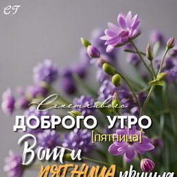 ���� ������, ����������� - ��������� 18 ����� 2026
