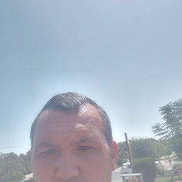 , 40, 