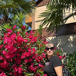 , 41, 