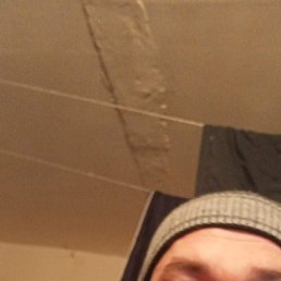 ��������, 39 ���, ����