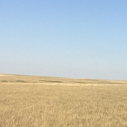 ���������, ��������, 40 ���