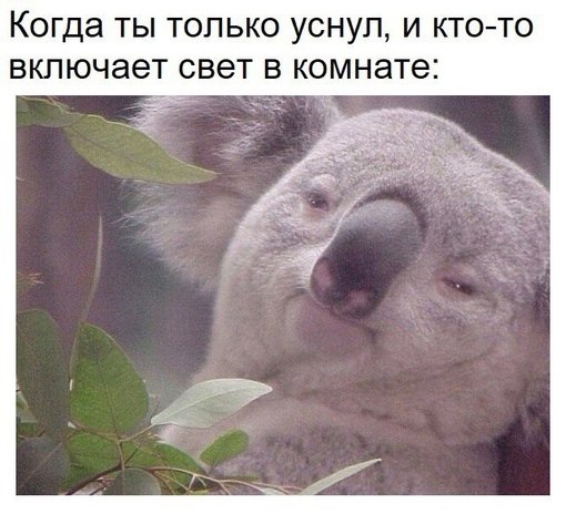 ? ,  ! - 9  2024  19:47