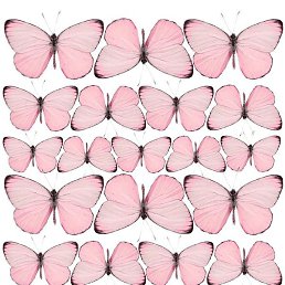 ����, ����, 26 ���