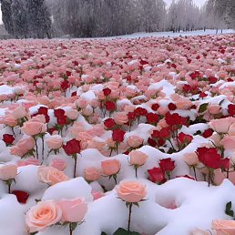 ���� Jaxongir Xudayqulyev, ������, 22 ���� - ��������� 7 ������ 2024