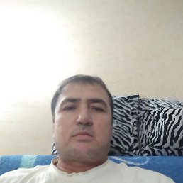 ����, 46 ���, ����