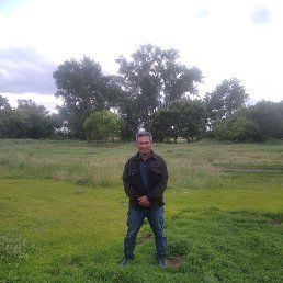  , 52 , 