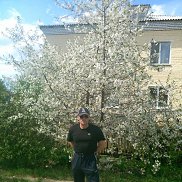 ������, 56 ���, ����