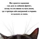 ���� ������, �����-���������, 49 ��� - ��������� 20 ���� 2026