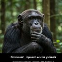 ���� * ���� *, �������, 65 ��� - ��������� 11 ������ 2025 � ������ ���� ����������