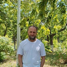 �������, ��������, 49 ���