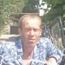 �����, ������, 82 ����