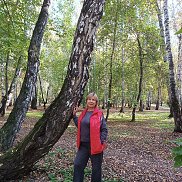 ����, 65 ���, ���������