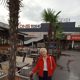 ���� ������, ����������, 65 ��� - ��������� 29 ����� 2026