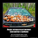 ���� ������, �������������, 49 ��� - ��������� 26 ������� 2026 � ������ ���� ����������