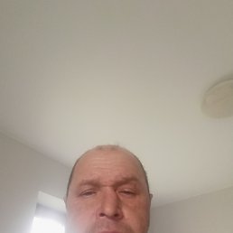 ����, 46 ���, �������