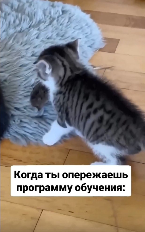 � ������� �� 9 ����� ����������)