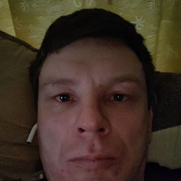 ��������, 41 ���, �����