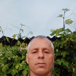 ����, 54 ����, ���������