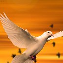 ���� ������, ������, 34 ���� - ��������� 8 ������ 2023