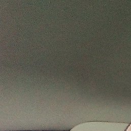 �����, ������, 35 ���