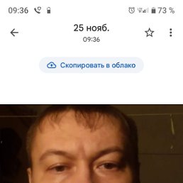 ������, 41 ���, ����