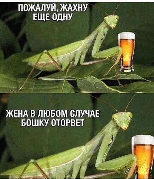   - 26  2024  15:29