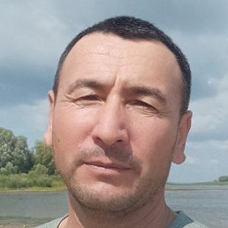 �����, ���������, 44 ����