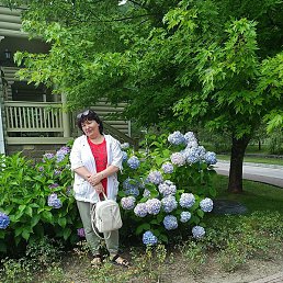 ��������, ������, 59 ���