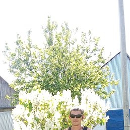 , 36, 