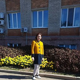 �����, ���������, 44 ����