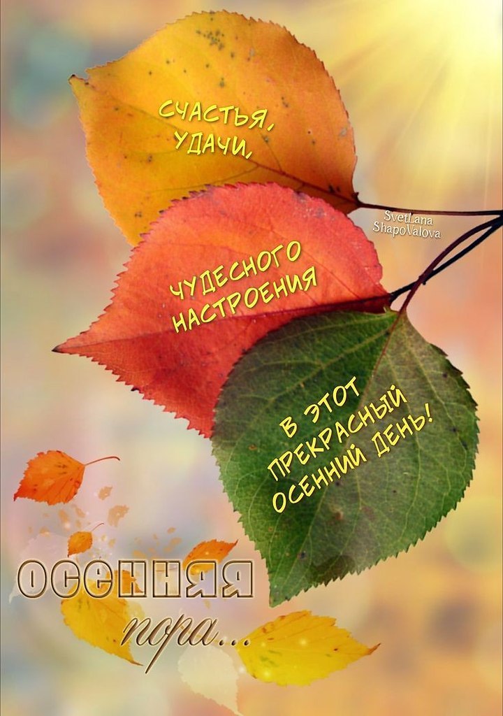   - 9  2025  17:46