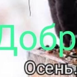 �300, ������, 52 ����