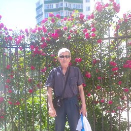, 62, 