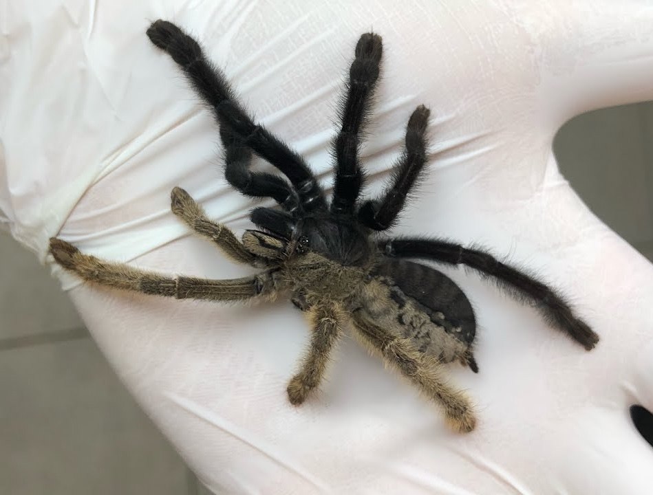  ( )   .          ... - 2