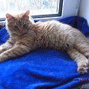 ���� ��������, ��������, 56 ��� - ��������� 8 ������� 2025 � ������ ����� ��������