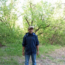 ������, ���������, 31 ���