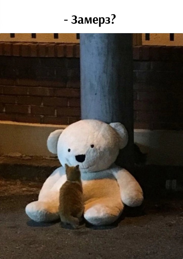       - 5  2024  16:01 - 2