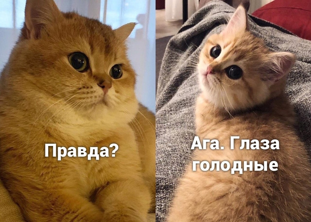 ����� �� ����) - 3