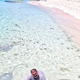 ������� ��������, ��������, 59 ���