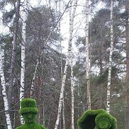 �������, 40 ���, �����-���������