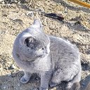 ���� Ivan, ������, 59 ��� - ��������� 29 ������ 2025 � ������ ������ ��������