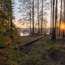 ���� ����, �����������, 65 ��� - ��������� 11 ��� 2026 � ������ ���� ����������