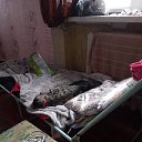 ���� ������, ������, 57 ��� - ��������� 31 ������� 2023 � ������ ���� ����������