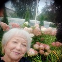 ���� ������, ����, 50 ��� - ��������� 6 ����� 2026 � ������ ���� ����������