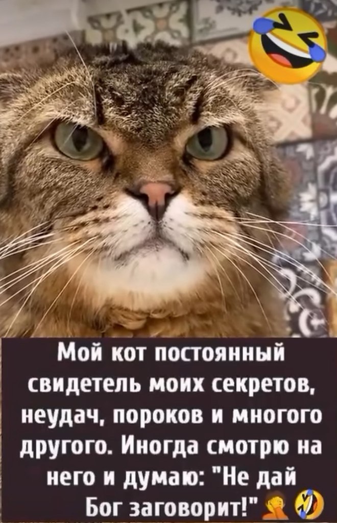  - 28  2025  22:21